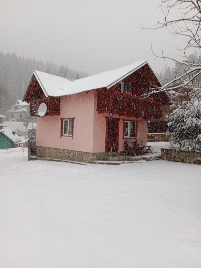 Holiday Home Melodiya Karpat Jaremče Esterno foto